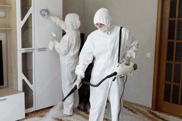 Best Mold Removal Process  in Mallory, WV