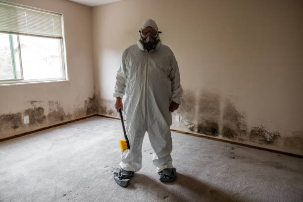 Best Mold Cleaning Services  in Mallory, WV